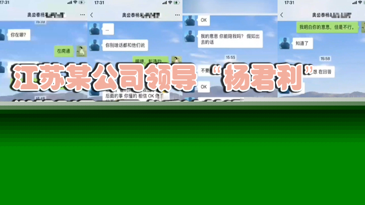 江苏某公司领导“杨君利”潜规则员工不成反被其曝光老少通吃 海报