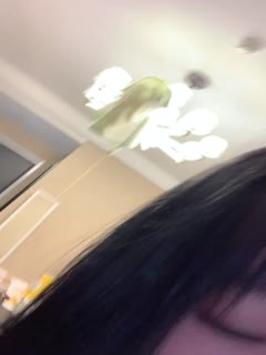 #泡泡咕 () 海报