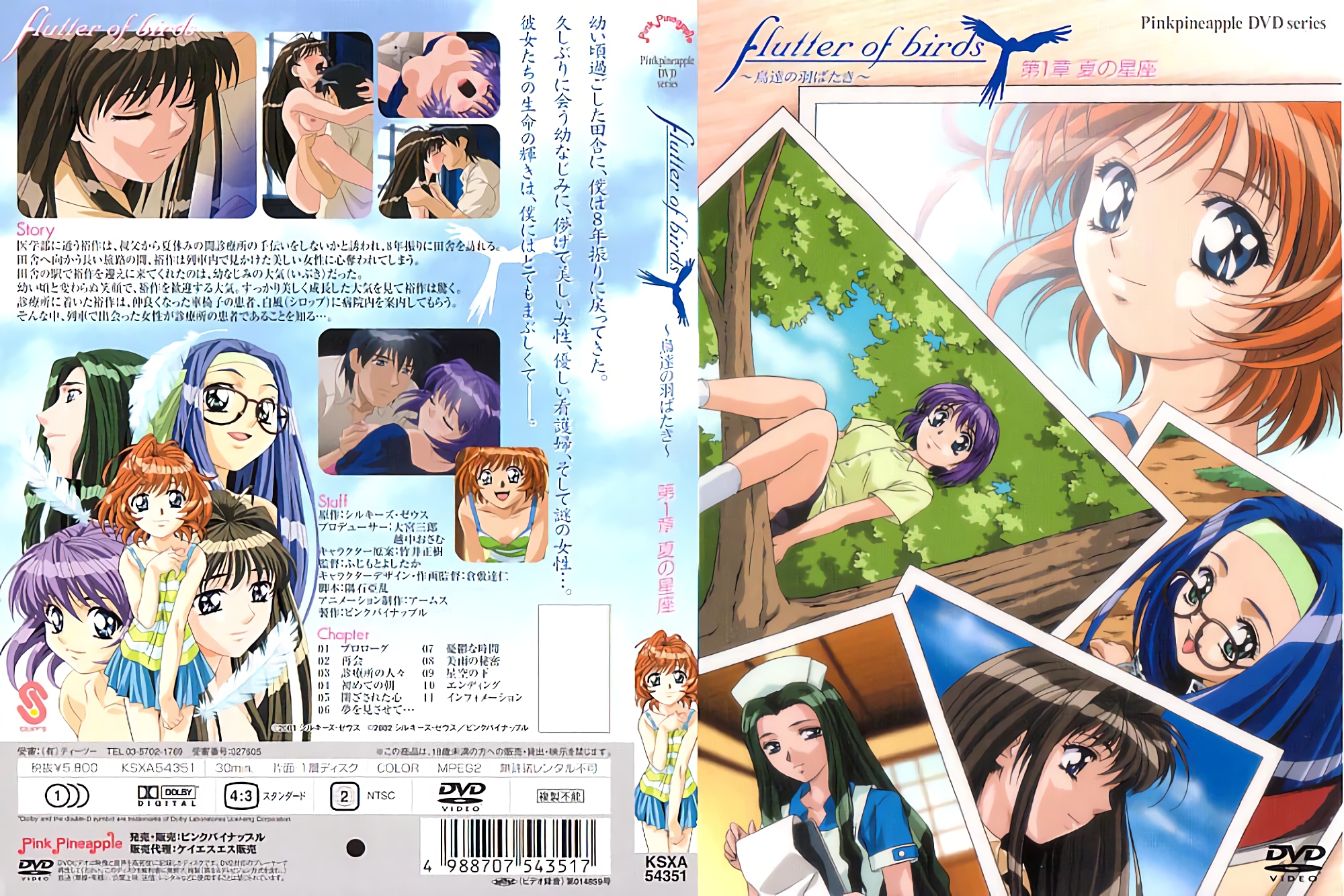 [200205] [ピンクパイナップル] flutter of birds ～鳥達の羽ばたき～ 第1章 「夏の星座」 海报