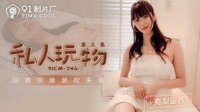 CM246私人玩物第三集：高梨遥香的极致诱惑 海报
